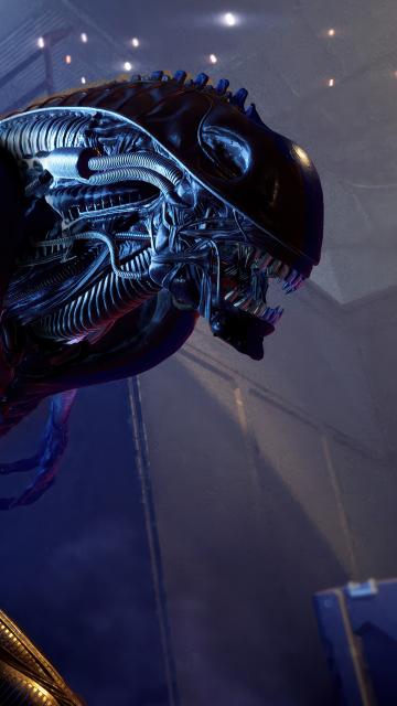 Alien: Rogue Incursion