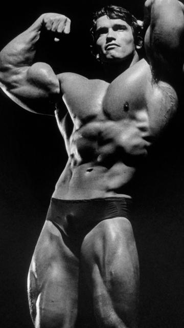 Arnold Schwarzenegger