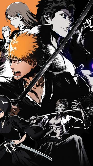 Bleach Rebirth of Souls