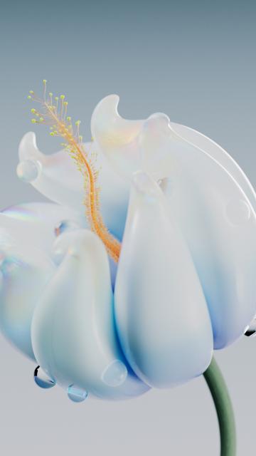 Blue flower