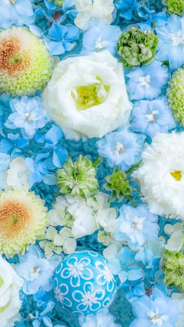 Blue flowers