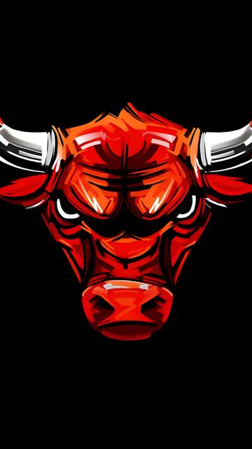 Chicago Bulls
