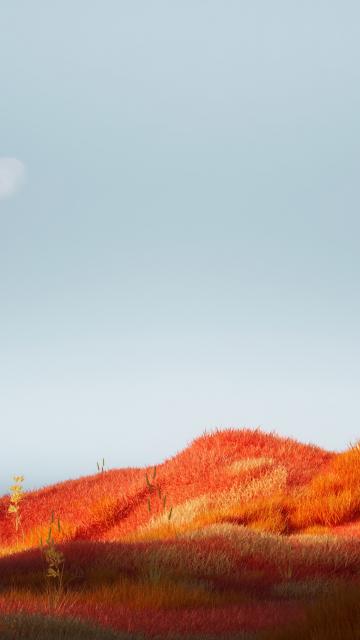 Grass Landscape