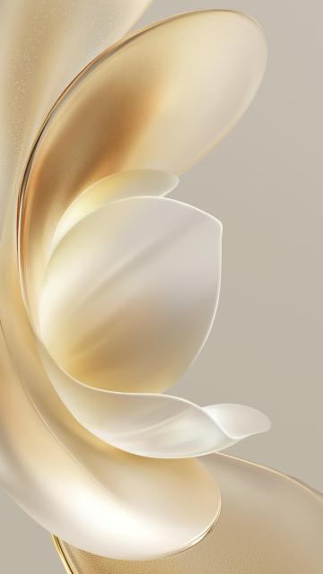 Honor 300 Pro, Stock