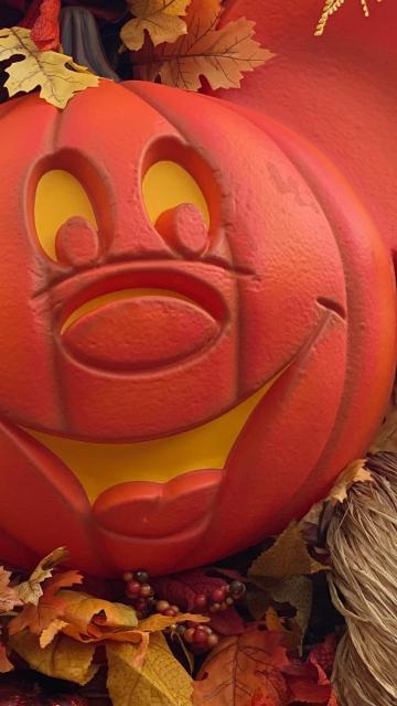 Mickey Mouse